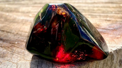 Baltic Red Fire Amber with Bugs