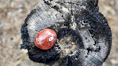 Madagascar Agate
