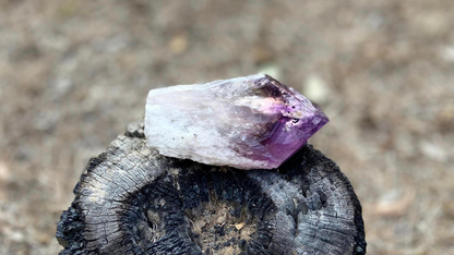 Dragon Tooth Amethyst Quartz with Smoky Quartz Phantom Standing Natural Point