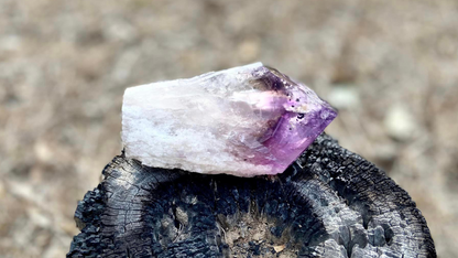 Dragon Tooth Amethyst Quartz with Smoky Quartz Phantom Standing Natural Point