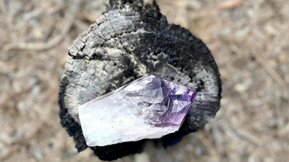 Dragon Tooth Amethyst Quartz with Smoky Quartz Phantom Standing Natural Point