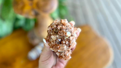 Aragonite Sputnik Cluster