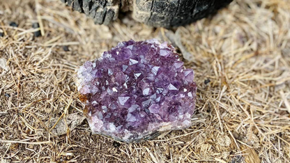 Amethyst Cluster