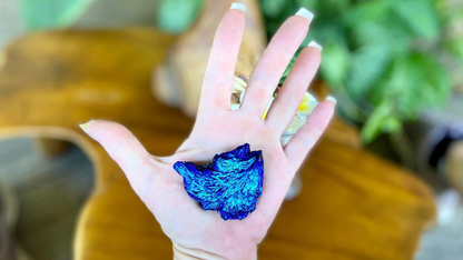 Black Kyanite with Aqua Angel Aura Wing