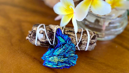 Black Kyanite with Aqua Angel Aura Wing