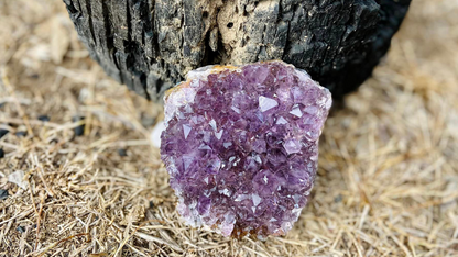 Amethyst Cluster