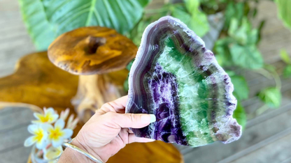 Rainbow Fluorite Crystal Rainbow Fluorite Slab | Intuition + Clarity + Balance | Third Eye Chakra | 919 Grams