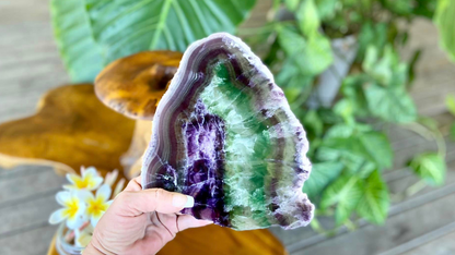 Rainbow Fluorite Crystal Rainbow Fluorite Slab | Intuition + Clarity + Balance | Third Eye Chakra | 919 Grams
