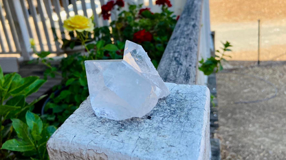 Lemurian Seed Quartz Twin Cluster