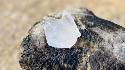 Lemurian Seed Quartz Twin Cluster