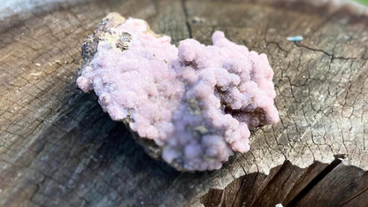 Rhodochrosite Cluster on Matrix | Wessels Mine, South Africa | Rare Pastel Pink | AAA Grade | 143 g