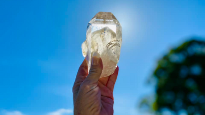 Natural Citrine Lemurian Cathedral Point with Inclusions | Timekeeper | 315g | Brazil