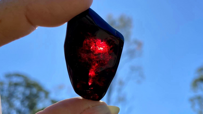 Rare Red Fire Amber: Baltic Sea Fossil with Organic Inclusions