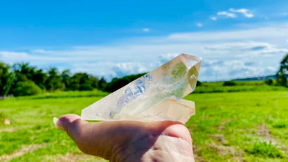 Natural Citrine Lemurian Cathedral Point with Inclusions | Timekeeper | 315g | Brazil