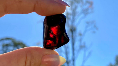 Rare Red Fire Amber: Baltic Sea Fossil with Organic Inclusions