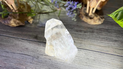 Natural Citrine Lemurian Cathedral Point with Inclusions | Timekeeper | 315g | Brazil