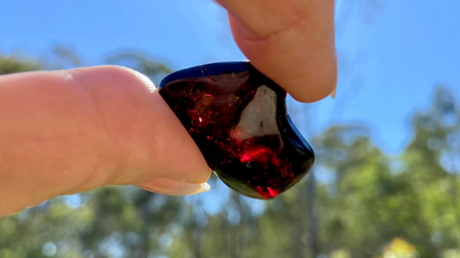 Rare Red Fire Amber: Baltic Sea Fossil with Organic Inclusions