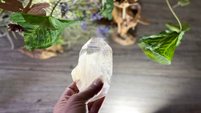 Natural Citrine Lemurian Cathedral Point with Inclusions | Timekeeper | 315g | Brazil
