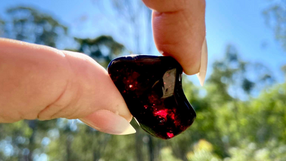 Rare Red Fire Amber: Baltic Sea Fossil with Organic Inclusions