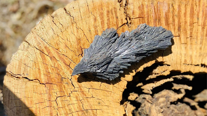 Black Kyanite Angel Wing