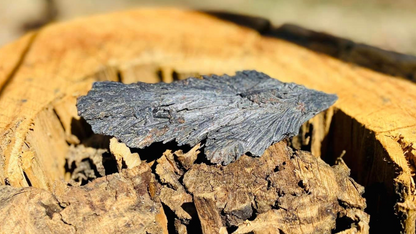 Black Kyanite Angel Wing