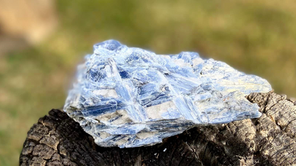 Blue Kyanite Blade Cluster with Black Tourmaline and a touch of Quartz