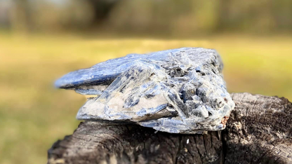 Blue Kyanite Blade Cluster with Black Tourmaline and a touch of Quartz