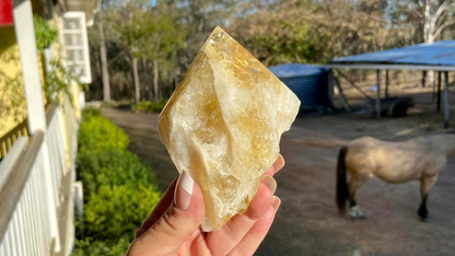 Citrine Diamond Natural Point Standing