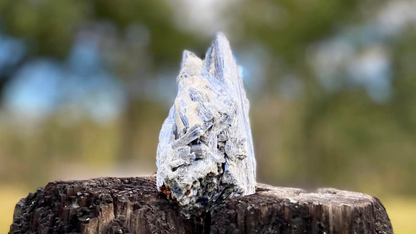 Blue Kyanite Blade Cluster with Black Tourmaline and a touch of Quartz