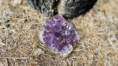 Amethyst Cluster