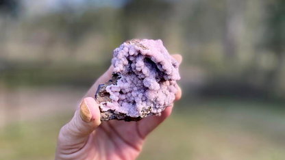 Rhodochrosite Cluster on Matrix | Wessels Mine, South Africa | Rare Pastel Pink | AAA Grade | 143 g