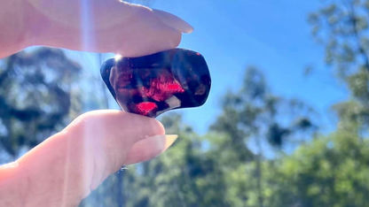 Rare Red Fire Amber: Baltic Sea Fossil with Organic Inclusions