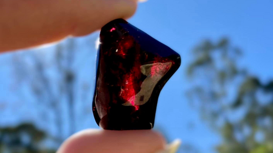 Rare Red Fire Amber: Baltic Sea Fossil with Organic Inclusions