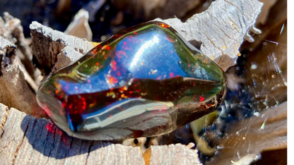 Baltic Red Fire Amber with Bugs