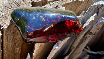 Baltic Red Fire Amber with Bugs