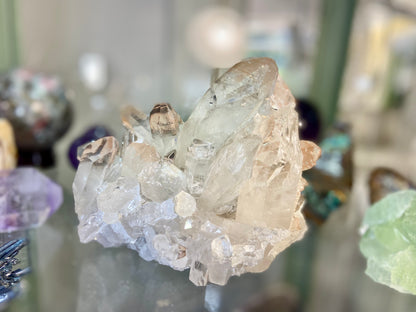 Golden Healer Lemurian Seed Cluster AAA+ Grade