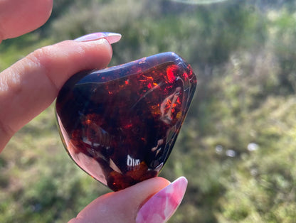 Rare Red Fire Baltic Amber with Ancient Organic Inclusions: Collector's Gem