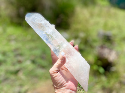 Lemurian Seed Quartz Crystal | Ancient Wisdom | Record Keepers |Phantasmagoric Rainbow | 1.313 kg