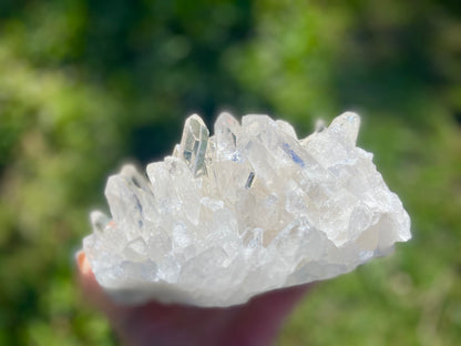 Lemurian Seed Quartz Cluster With A Smudge Of Golden Healer AAA+++