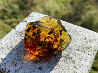 Polished Honey Amber (full of Bugs)