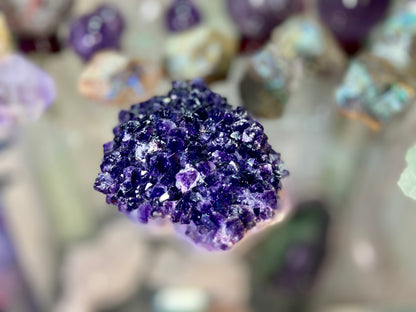 Amethyst Pineapple Cluster X Grade