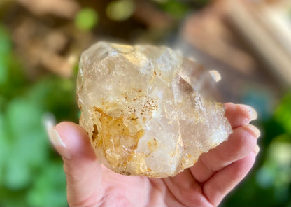 Lemurian Golden Healer Fenster Quartz with Enhydro | Self-Healed Elestial Tip • Pure Light • High Vibrational | 351 g