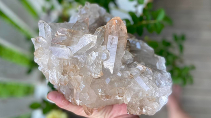 Golden Healer Lemurian Seed Cluster AAA+ Grade