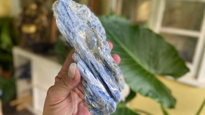 Blue Kyanite Blade Cluster with Quartz and Mica