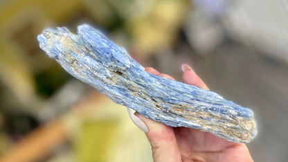 Blue Kyanite Blade Cluster with Quartz and Mica