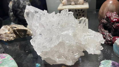 Lemurian Seed Mini Point Cluster AAA+ Grade