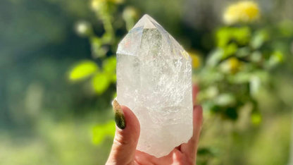 Lemurian Seed Cathederal with Bridge X Grade