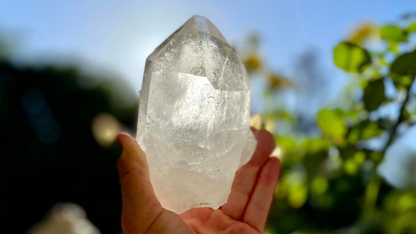 Lemurian Seed Cathederal with Bridge X Grade