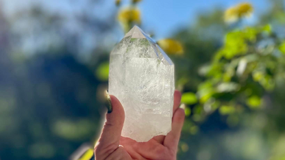 Lemurian Seed Cathederal with Bridge X Grade