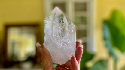 Lemurian Seed Cathederal with Bridge X Grade